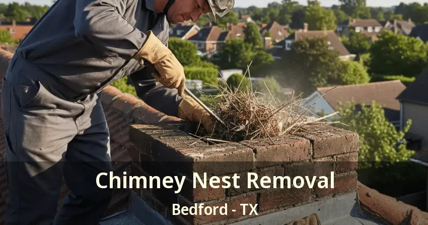 Chimney Nest Removal Bedford - TX