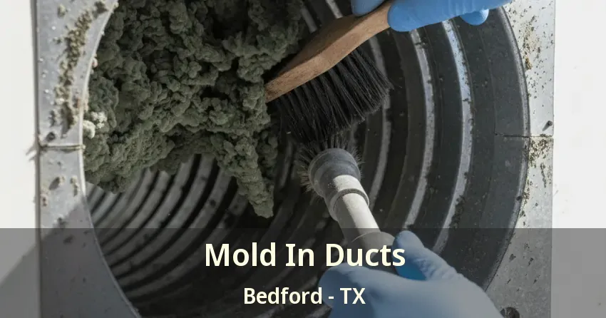 Mold In Ducts Bedford - TX