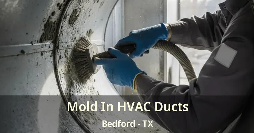 Mold In HVAC Ducts Bedford - TX Mold In HVAC Ducts Bedford - TX