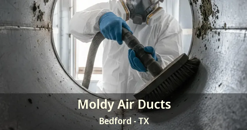 Moldy Air Ducts Bedford - TX
